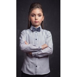 Школьная рубашка Zironka Luxury 36163 синяя полоска